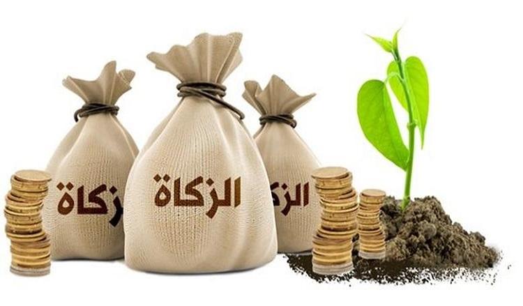 زكاة-3
